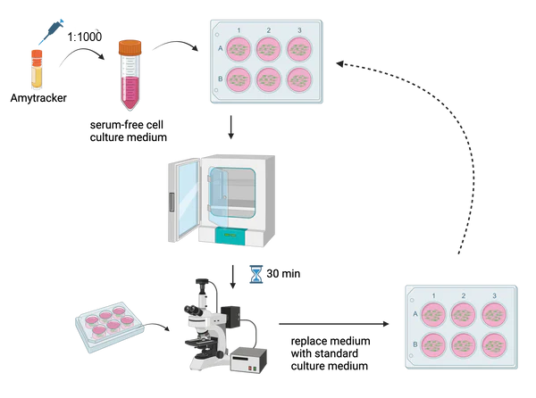 Live-cell imaging
