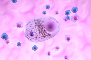 Lewy body formation in seeding based neuronal models