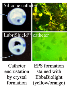 Combatting Persistent Biofilms using LubriShield™, a novel antifouling coating