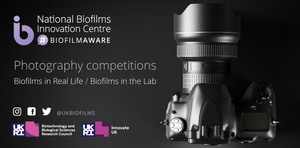NBIC image competition