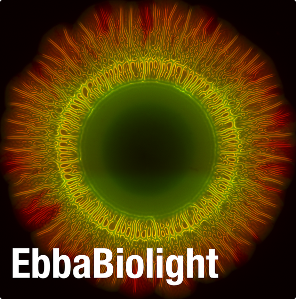 EbbaBiolight