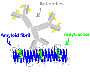 Amytracker for superresolution microscopy