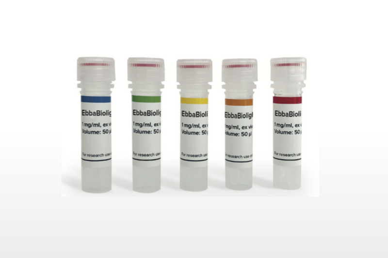 Ebba Biotech launches new optotracer series - EbbaBiolight