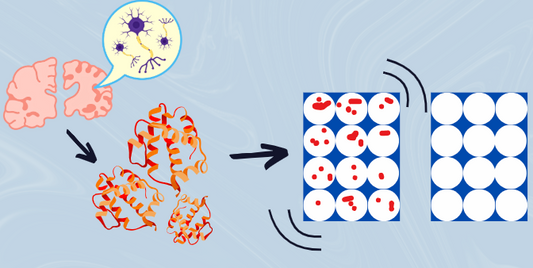 Finding the Invisible: How Amyloid Detection Is Improving