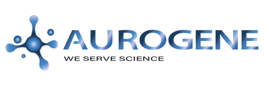 Aurogene, Europe