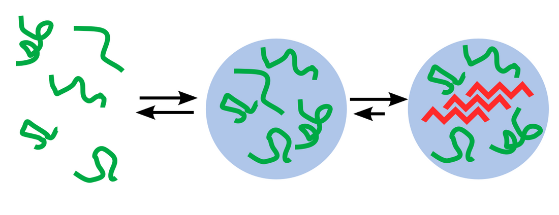 Phase separation and protein aggregation – Ebba Biotech AB