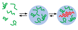 Phase separation and protein aggregation