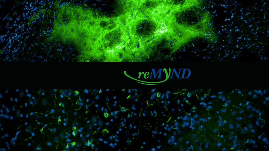 Testimonial - reMynd