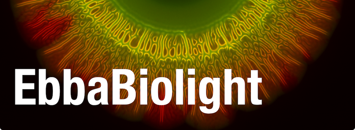 EbbaBiolight