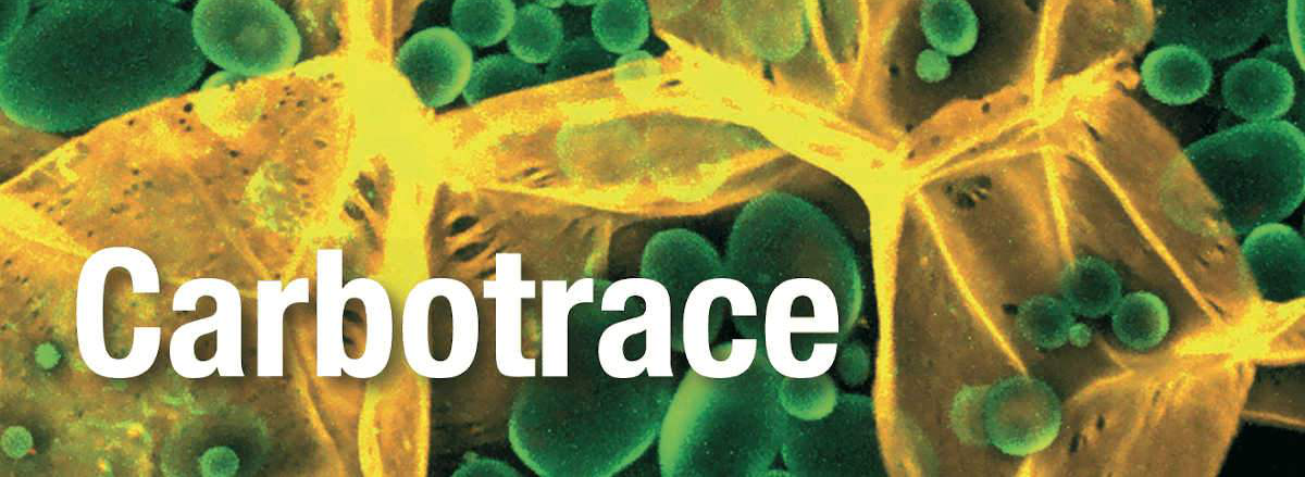 Carbotrace