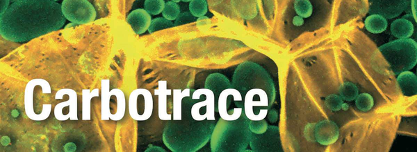 Carbotrace